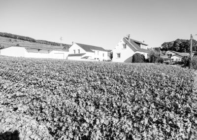 Champagne Ernest Braux - Vignoble